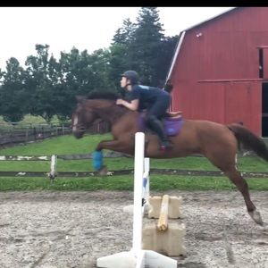 Meet your Posher, Bridget